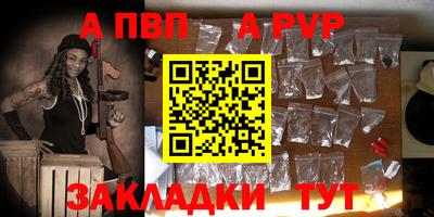 гашик Кингисепп