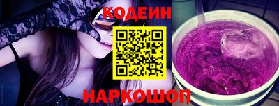 гашик Кингисепп