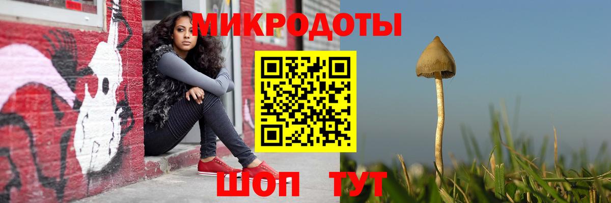 Галлюциногенные грибы мухоморы Нефтеюганск